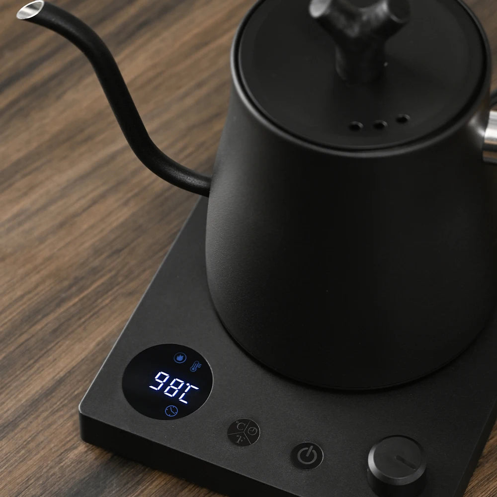 Electric Gooseneck Kettle