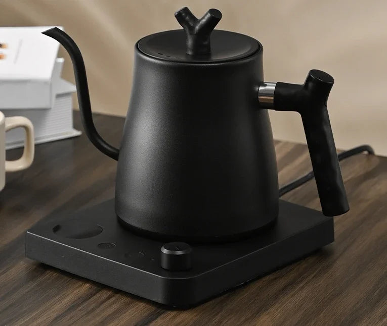 Electric Gooseneck Kettle