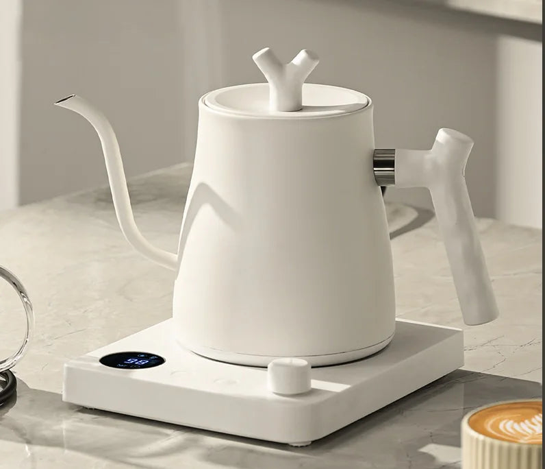 Electric Gooseneck Kettle