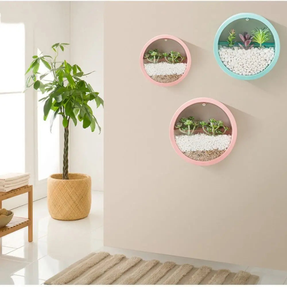 Wall Mounted Hanging Flowerpot
